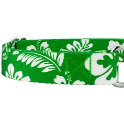 Country Brook Petz Kelly Green Hawaiian Martingale Dog Collar -Pet Shop GUEST 2052b555 3dd8 4124 b66f ba8934e227fa