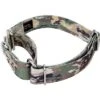 Country Brook Petz Mountain Viper Camo Martingale Dog Collar -Pet Shop GUEST 210a3239 5ff9 4b05 9716 991066a6fb55