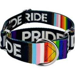 Country Brook Petz 1 1/2 Inch Pride Martingale Dog Collar -Pet Shop GUEST 21b75489 6214 4166 9bf7 3c2e2d8a88c0