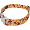 Country Brook Petz Premium Fall Foliage Dog Collar -Pet Shop GUEST 22778477 9075 443c b968 f34e6f327911