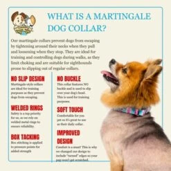 Country Brook Petz HossFit Jr Wide Martingale Dog Collar - Country And Western Collection -Pet Shop GUEST 228a6a33 7ba0 4fac 8f29 e938d1212733