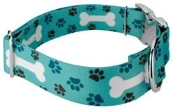 Country Brook Petz 1 1/2 Inch Premium Oh My Dog Collar -Pet Shop GUEST 229f5e1a afea 4a11 b1a0 a2c10f3da9e2