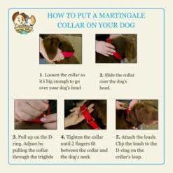 Country Brook Petz HossFit Jr Wide Martingale Dog Collar - Geek Chic Collection -Pet Shop GUEST 234d1998 55bd 4012 acb8 8272866a1466