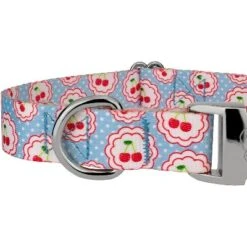 Country Brook Petz Premium Cherry On Top Dog Collar Limited Edition 10 Country Brook Petz Premium Cherry On Top Dog Collar Limited Edition -Pet Shop GUEST 24302930 ef9a 49d9 9def 83ea07034a42