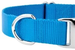 Country Brook Petz Premium Nylon Dog Collar 20 Country Brook Petz Premium Nylon Dog Collar -Pet Shop GUEST 245bd745 b2d7 4d6c bba8 9a81bb3d65ad