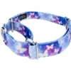 Country Brook Petz - Watercolor Butterflies Martingale Dog Collar -Pet Shop GUEST 24b18031 0e2c 4ed1 b2f8 c2d6a3b522d3