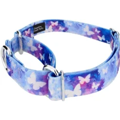 Country Brook Petz - Watercolor Butterflies Martingale Dog Collar
