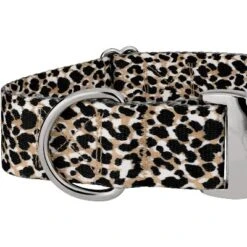 Country Brook Petz HossFit Jr Wide Premium Dog Collar - Animal Print Collection -Pet Shop GUEST 25085a39 70c8 4e12 a323 8f12dc751d50