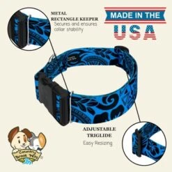 Country Brook Petz HossFit Jr Wide Deluxe Dog Collar - Attitude Collection -Pet Shop GUEST 254ca98b e134 4265 9118 624d1a68370b