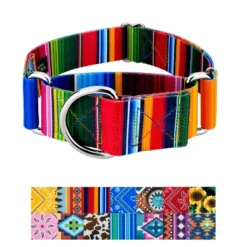 Country Brook Petz HossFit Jr Wide Martingale Dog Collar - Country And Western Collection -Pet Shop GUEST 256a56f8 55ed 4687 a096 ecab1cfd0d93