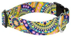 Country Brook Petz 1 1/2 Inch Deluxe Yellow Boho Mandala Dog Collar -Pet Shop GUEST 2730a0f6 4fbc 4340 990f f867b2f51436