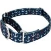 Country Brook Petz Anchors Away Martingale Dog Collar