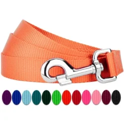 Country Brook Petz 6ft By 1 Inch Heavyduty Doublehandle Nylon Leash -Pet Shop GUEST 296b4353 384d 458f 8bf4 81aeed4c4649