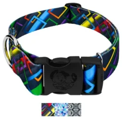 Country Brook Petz HossFit Jr Wide Deluxe Dog Collar - Abstract Collection -Pet Shop GUEST 2a3e899d bdb3 4ec2 9ad5 f1278ae8c478