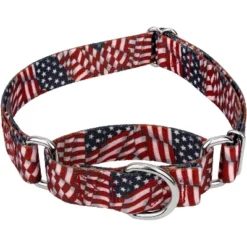 Country Brook Petz Patriotic Tribute Martingale Dog Collar 19 Country Brook Petz Patriotic Tribute Martingale Dog Collar -Pet Shop GUEST 2a76173b f12c 41e9 aede e79eb3129147