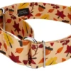 Country Brook Petz 1 1/2 Inch Fall Foliage Martingale Dog Collar -Pet Shop GUEST 2a88a47b 7fcf 4d4e 9fe5 5ea961bcc102