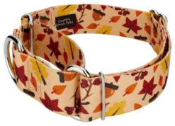 Country Brook Petz 1 1/2 Inch Fall Foliage Martingale Dog Collar