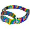 Country Brook Petz Martingale Dog Collar - Groovy Collection -Pet Shop GUEST 2a9f3a12 df4c 4f11 a648 76faee2dc524