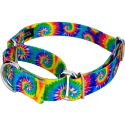 Country Brook Petz Martingale Dog Collar - Groovy Collection