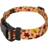 Country Brook Petz Deluxe Fall Foliage Dog Collar And Leash -Pet Shop GUEST 2ab66672 688e 4d72 80ad 140ced2b44be
