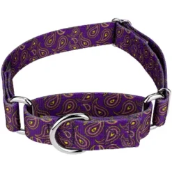 Country Brook Petz Purple Paisley Martingale Dog Collar -Pet Shop GUEST 2ae72c73 08ad 48fd 8eec 943a8e9d2625