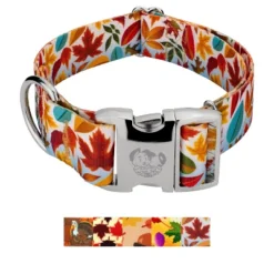 Country Brook Petz HossFit Jr Wide Premium Dog Collar - Awesome Autumn Collection -Pet Shop GUEST 2b0e71ca 9923 49a4 9967 5f9135d74bbd