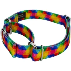 Country Brook Petz Kaleidoscope Martingale Dog Collar