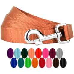 Country Brook Petz 6ft By 3/4 Inch Heavyduty Doublehandle Nylon Leash -Pet Shop GUEST 2c153a2e c978 42a9 8eb5 f17545cd4344