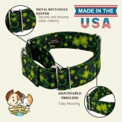 Country Brook Petz HossFit Jr Wide Martingale Dog Collar - Irish Pride 16 Country Brook Petz HossFit Jr Wide Martingale Dog Collar - Irish Pride -Pet Shop GUEST 2c84c4db 5249 4aec b741 848cd4bf819d