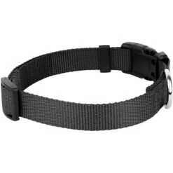 Country Brook Petz American Made Deluxe Nylon Dog Collar -Pet Shop GUEST 2ceaf371 5782 4320 bf83 4211297d4bb5