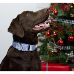 Country Brook Petz Snowman Martingale Dog Collar -Pet Shop GUEST 2cf54730 468e 4ad1 81ce 6b371149210e