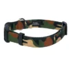 Country Brook Petz Deluxe Woodland Camo Reflective Dog Collar (1 Inch, Large) -Pet Shop GUEST 2cfc6b51 6195 44a3 93d6 2bf62c03a468