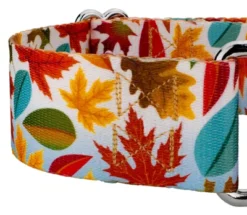 Country Brook Petz 1 1/2 Inch Brisk Autumn Martingale Dog Collar -Pet Shop GUEST 2d0889ce 1447 4bc8 bccd 9af09d87e8d1