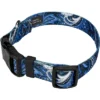 Country Brook Petz Blue Paisley Deluxe Dog Collar And Leash