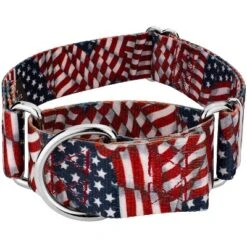 Country Brook Petz HossFit Jr Wide Martingale Dog Collar - Americana Collection -Pet Shop GUEST 2da03622 3ce3 4396 af01 2cce7633420f