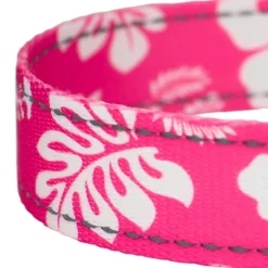 Country Brook Petz Pink Hawaiian Deluxe Reflective Dog Leash -Pet Shop GUEST 2db0ea0b d91f 42bc 9139 9dd92cc5decb