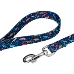 Country Brook Petz Deluxe Dinosaurs Dog Collar And Leash 12 Country Brook Petz Deluxe Dinosaurs Dog Collar And Leash -Pet Shop GUEST 2dbe50ec d068 477d 85be e2e2470b92cc 2