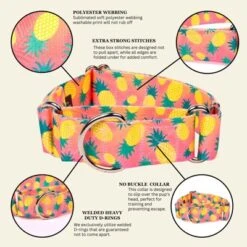 Country Brook Petz HossFit Jr Wide Martingale Dog Collar, Tasty Collection -Pet Shop GUEST 2ec46f88 a144 417b 9871 c126d7655f98