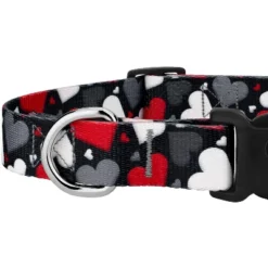 Country Brook Petz Deluxe Dog Collar - Affection Collection -Pet Shop GUEST 2f0ce74d c079 4af2 ba84 757a44b0d9f6