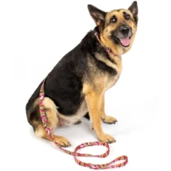 Country Brook Petz Martingale Collar And Leash - Paisley Collection 24 Country Brook Petz Martingale Collar And Leash - Paisley Collection -Pet Shop GUEST 2f0e7340 c9e2 4480 accd 39feb3dc9247 1