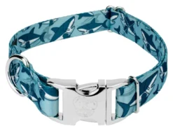 Country Brook Petz Premium Sharks Dog Collar 11 Country Brook Petz Premium Sharks Dog Collar -Pet Shop GUEST 2f28aa3a ba3c 4e9d a509 43eede987ad2