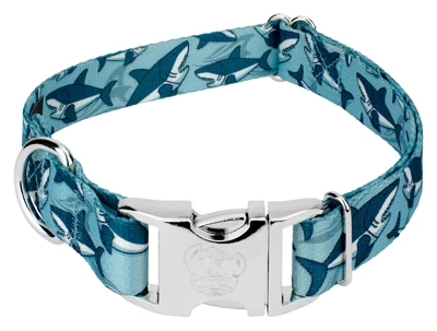 Country Brook Petz Premium Sharks Dog Collar 7 Country Brook Petz Premium Sharks Dog Collar - Image 5