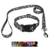 Country Brook Petz Deluxe Collar And Leash - Halloween Collection -Pet Shop GUEST 2f50208c 876d 406c b69e aeab264604c4