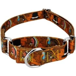 Country Brook Petz Thanksgiving Tradition Martingale Dog Collar -Pet Shop GUEST 2f7331d0 1955 4928 a379 12603d5c6d74