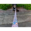 Country Brook Petz Deluxe Reflective Dog Leash 6 Foot Length -Pet Shop GUEST 2fd29d13 d148 45f3 9937 80e56f158e9f 1