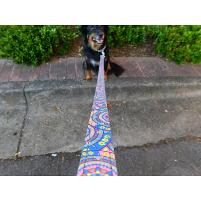 Country Brook Petz Deluxe Reflective Dog Leash 6 Foot Length 3 Country Brook Petz Deluxe Reflective Dog Leash 6 Foot Length