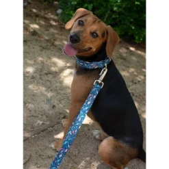 Country Brook Petz Deluxe Dinosaurs Dog Collar And Leash