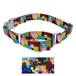 Country Brook Petz Martingale Dog Collar With Premium Buckle - Floral Collection 13 Country Brook Petz Martingale Dog Collar With Premium Buckle - Floral Collection -Pet Shop GUEST 2ff96313 0c52 4756 8f8f 468f5c11fc64