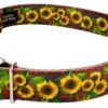 Country Brook Petz Premium Country Fields Dog Collar Limited Edition -Pet Shop GUEST 301675bc f0cc 4f54 857a aab5b88ec9c5