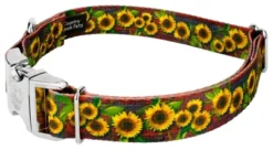 Country Brook Petz Premium Country Fields Dog Collar Limited Edition